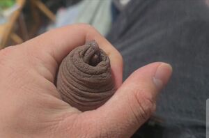 Foreskin Male Masturbation Uncircumcised