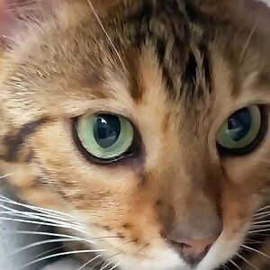 I wish I was smart enough to redo this in reverse. 