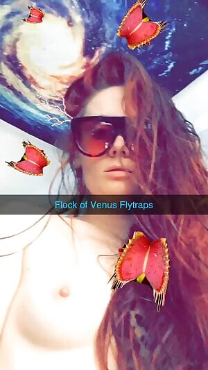 Venus_Flytrap