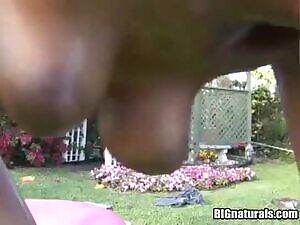 black puffies bouncing