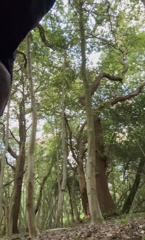 Big Black Dicks BBC Cock Homemade