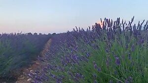 Naomi Swann Shaking Her Booty in a Lavender Field