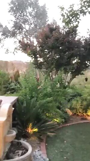 A Wild Mia Malkova Appears!