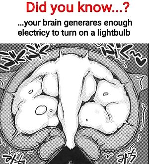 hentai_irl