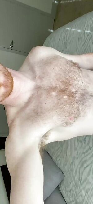 Early morning ginger fur