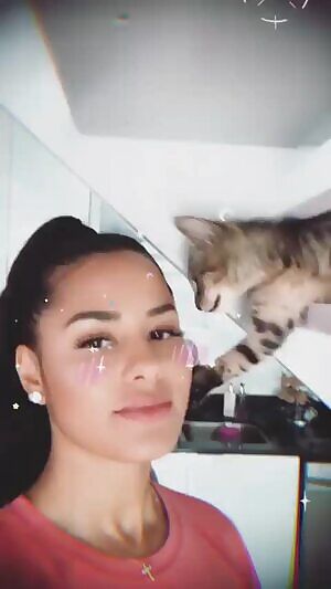 Kat kissing a cat