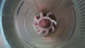 Fleshlight Amateur Cum Cumshot Homemade