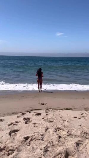 Analyse (BB21) at the beach