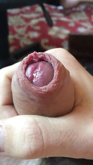 Will someone lick this up for me?