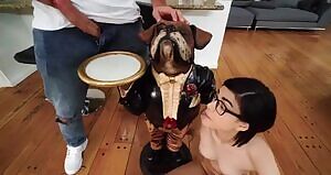 Six Inches and a Dog