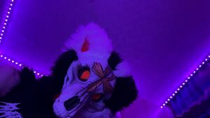 Fursuit Sex Chastity Cute Femboy Furry