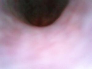 Ever wonder what the sound sees on the way down?