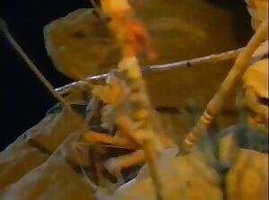 Shawn Weatherly - Thieves of Fortune