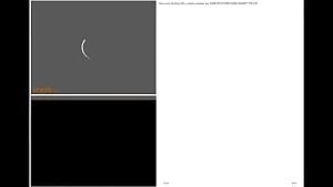 This girl was into it the other night