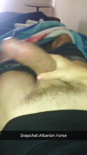 Albanian horse mornings