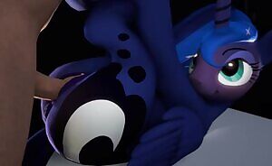 Top Image of 11-26-2018