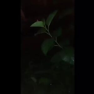 Nice to cum in the rain